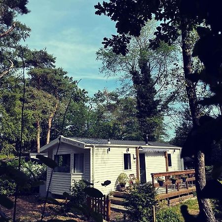 Knus Chalet Midden In De Bossen Nunspeet Zewnętrze zdjęcie