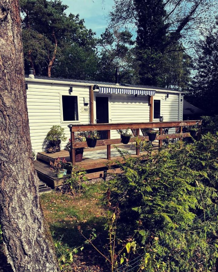 Knus Chalet Midden In De Bossen Nunspeet Zewnętrze zdjęcie