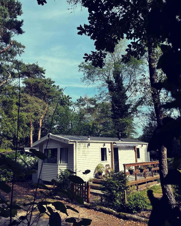 Knus Chalet Midden In De Bossen Nunspeet Zewnętrze zdjęcie