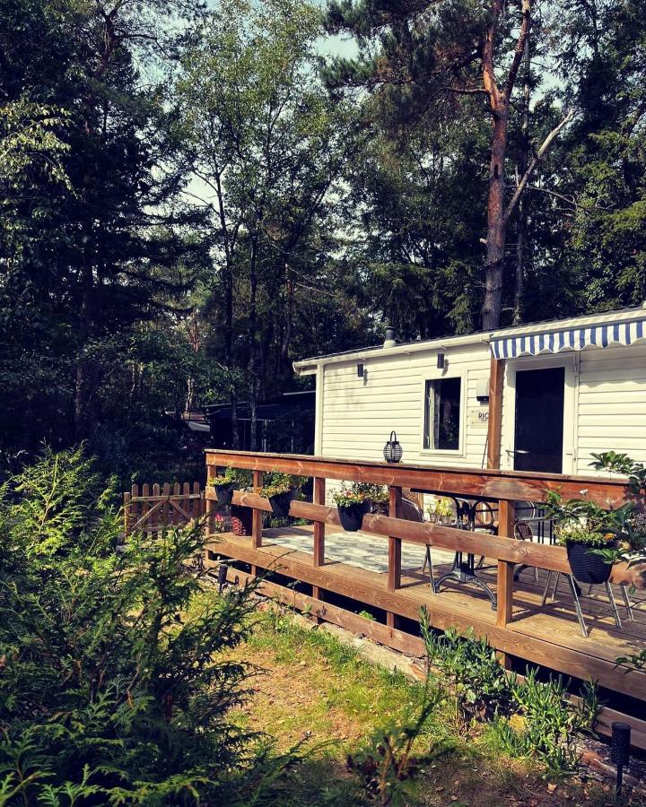 Knus Chalet Midden In De Bossen Nunspeet Zewnętrze zdjęcie