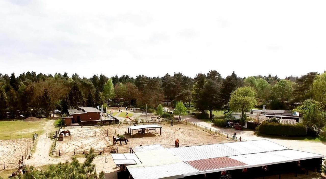 Knus Chalet Midden In De Bossen Nunspeet Zewnętrze zdjęcie